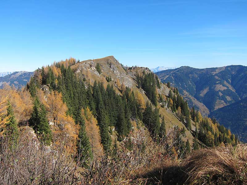 Schwarzwand